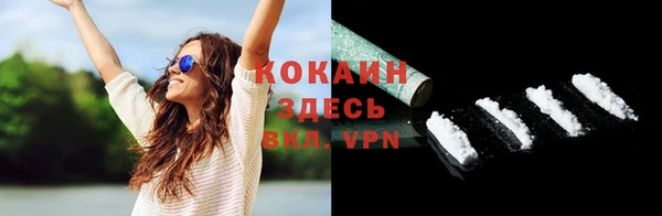 индика Абаза