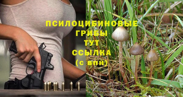 стаф Алексеевка