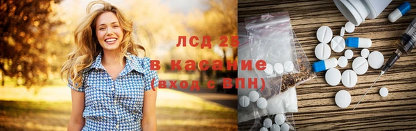 индика Абаза
