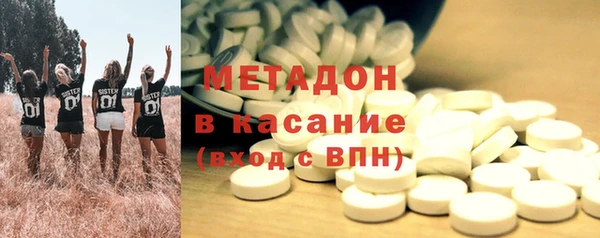 индика Абаза