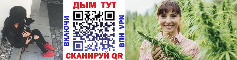 Каннабис SATIVA & INDICA Избербаш